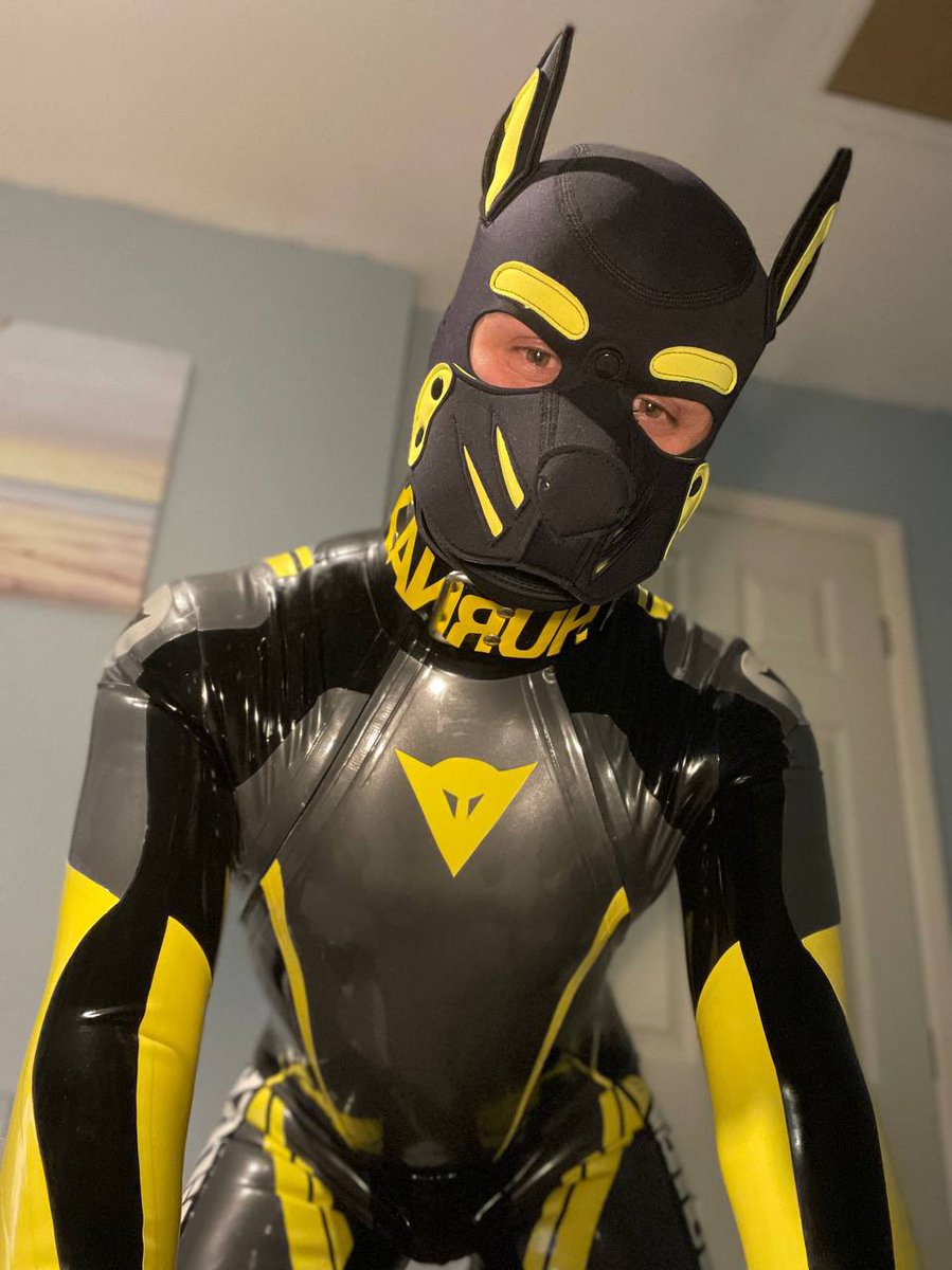 pupthurnax's tweet photo. Fresh Reset - woof😈
Suit from @latexkinkfox https://t.co/VPIEUnGeX8