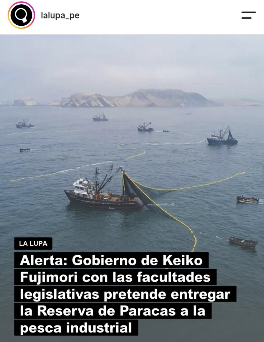 abelgilvonio's tweet photo. Keiko quiere entregar la reserva de Paracas a sus amigos y amigas empresarias... https://t.co/rg8gybD5YO