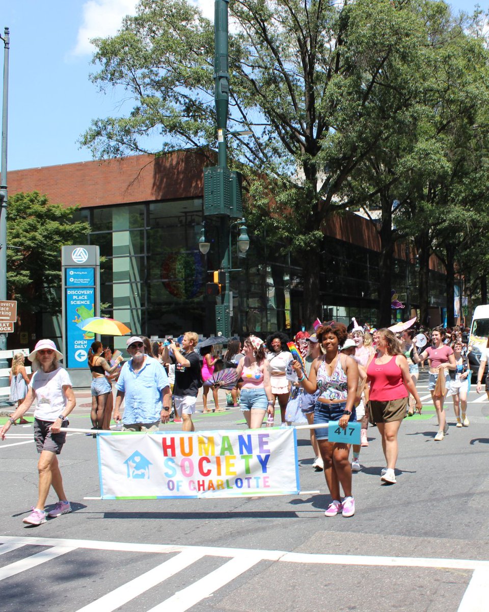 humanecharlotte's tweet photo. It’s always an honor to be part of the @cltpride Parade and celebrate a community built on love, belonging, and being exactly who you are.

Animals have a pretty beautiful way of showing us how it’s done: love freely, love fully, and love without judgment. 💙🌈 https://t.co/zPAPScALpM
