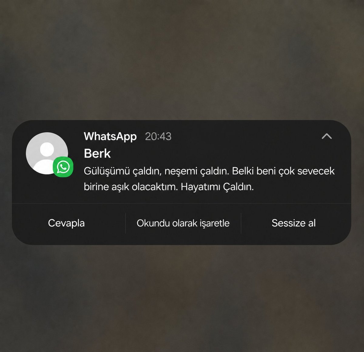 senseedim's tweet photo. Gülüşümü çaldın, neşemi çaldın. Belki beni çok sevecek birine aşık olacaktım. Hayatımı çaldın.. https://t.co/KTQ2AtPdSv