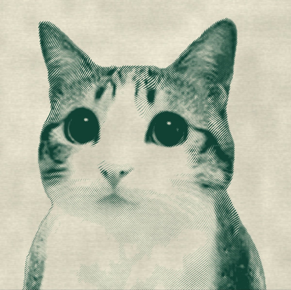 Image from ana howard