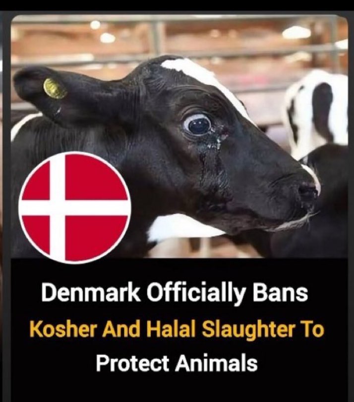 Neccccy's tweet photo. Should we copy Denmark? https://t.co/s56E73v9fl