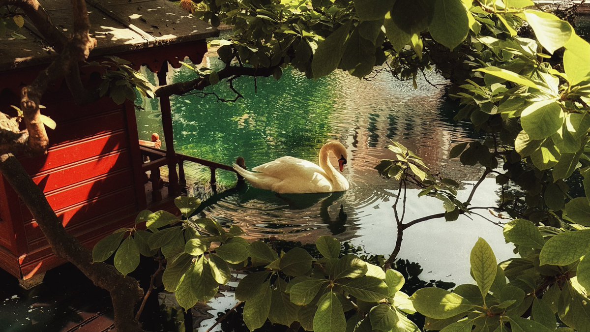 art_forus's tweet photo. صُنع الله  ˚˖𓍢ִ໋🦢˚ִֶָ࿐ https://t.co/K3klF0VMgf