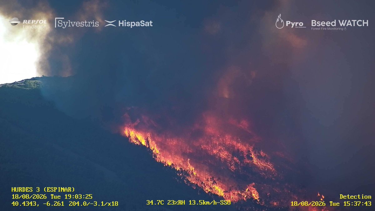PyroFire's tweet photo. Gran intensidad en #IFPinofranqueado . Actualización 19:15 18/08/2026. #caceres #iiff #BseedWATCH https://t.co/17KlVzbS7n