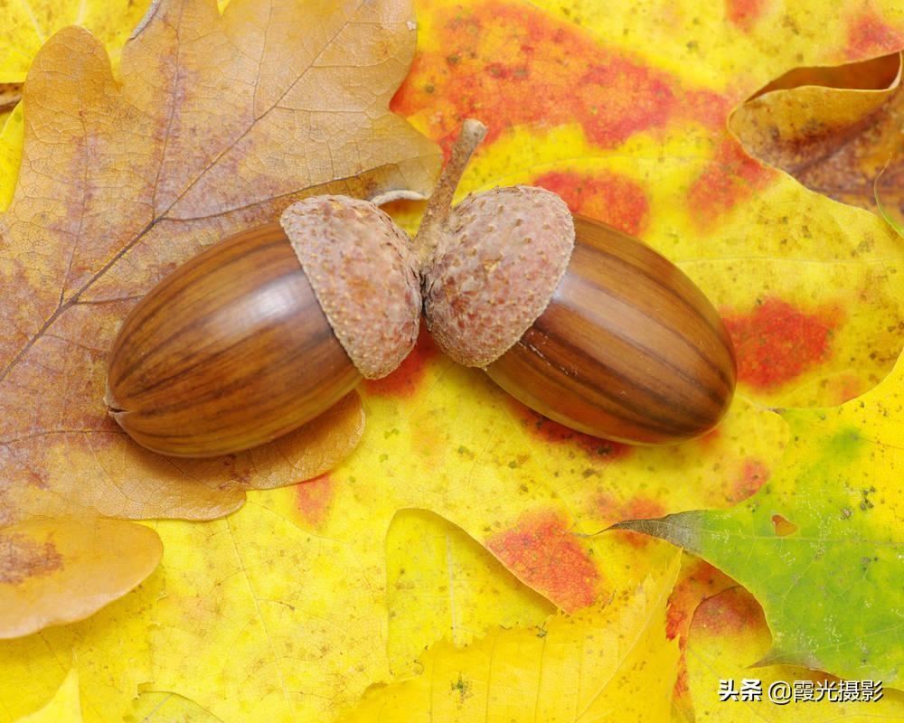 WebsterFloors's tweet photo. Today marks the first day of autumn!  Sipping warm cider and feeling the crisp breeze—perfect little joys. https://t.co/RCXCYxK0ak