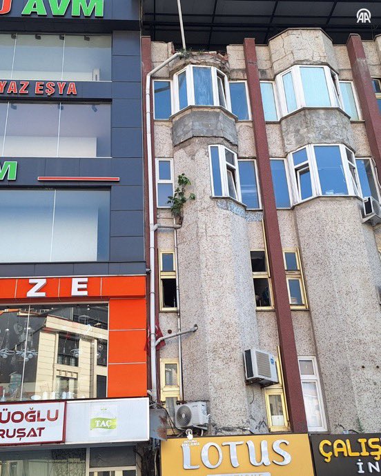 ozetgechaber's tweet photo. Zonguldak'ta bir apartmanın 4. katında incir ağacı yeşerdi. https://t.co/VBQh14D4YO