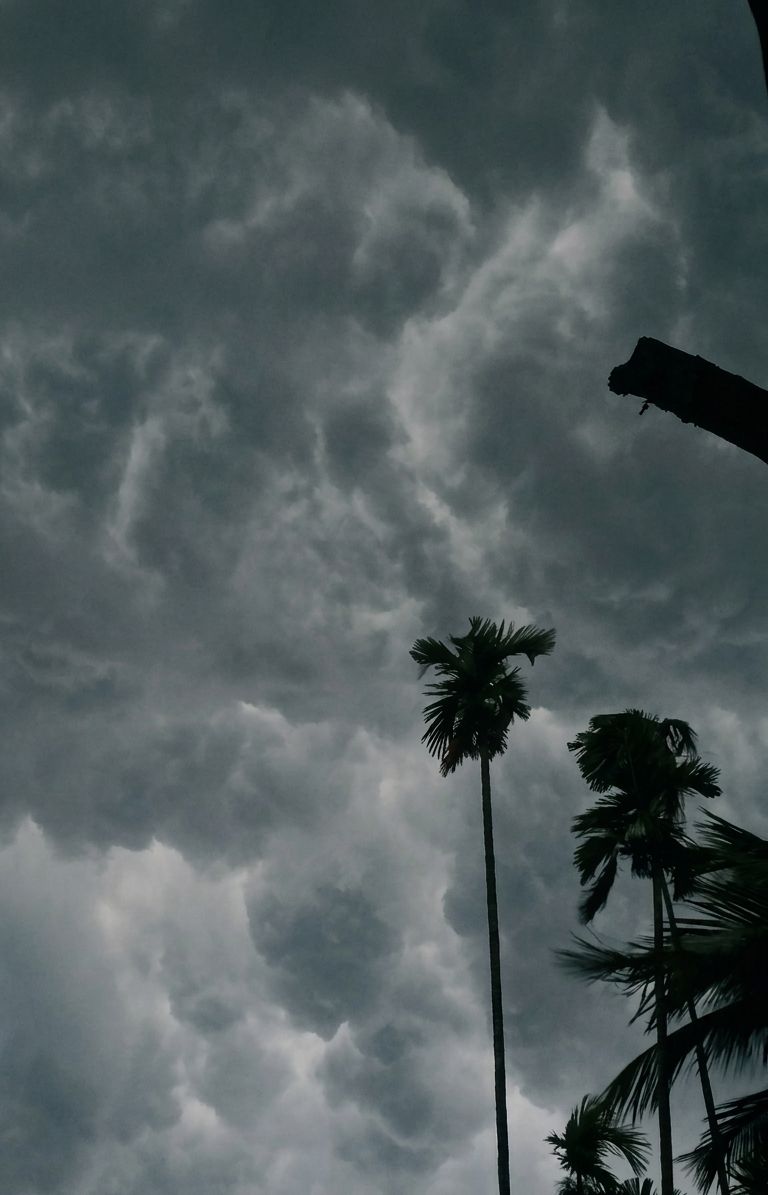 spooky_nature's tweet photo. the weather before rain looks so peaceful😌 https://t.co/p4HCAGluXK