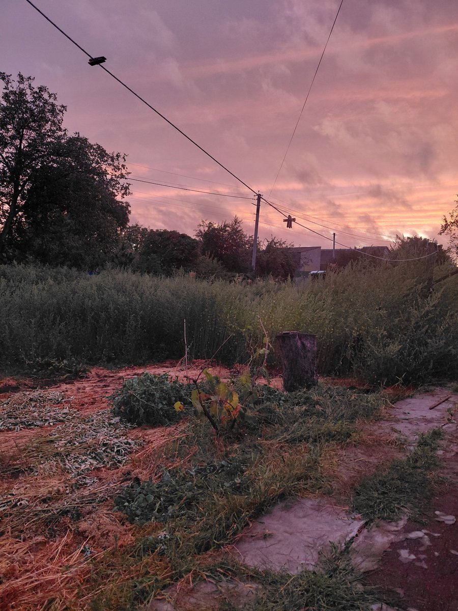 TipsyParrot's tweet photo. Небо сьогодні неймовірне (на подвір'ї бардак, але було значно гірше) https://t.co/P41mJWcz56