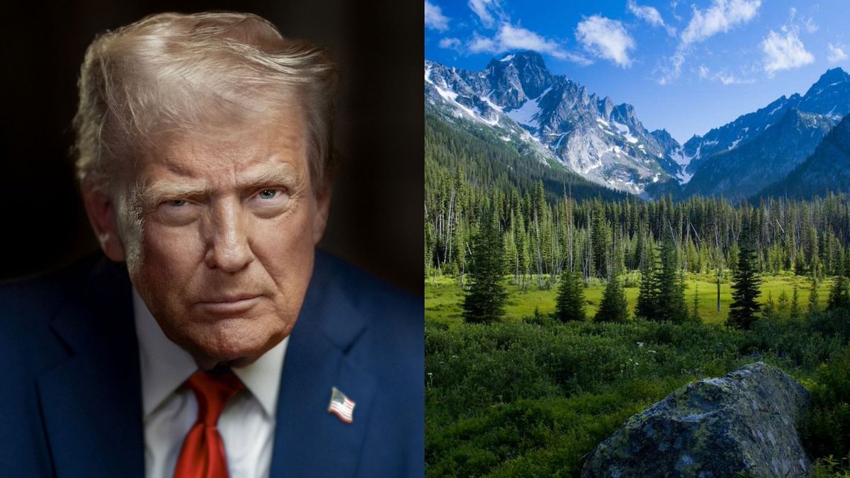 HQNewsNow's tweet photo. The Trump administration will move forward with plans to open 45,000,000 acres of national forests to road paving and logging. https://t.co/TglbVrL94F