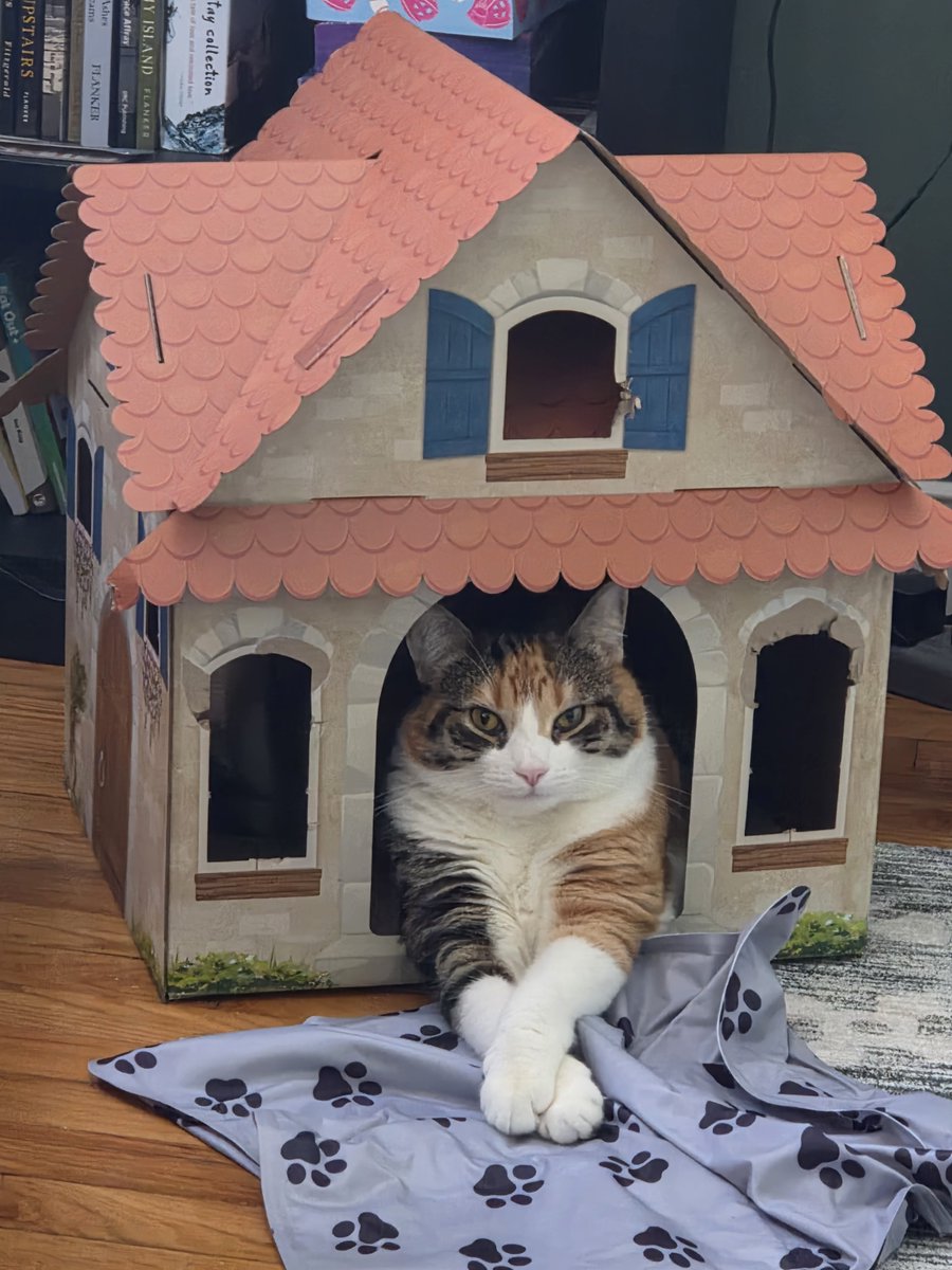 garhan12's tweet photo. Lucy chillin !!! https://t.co/8gP4MNEuZe