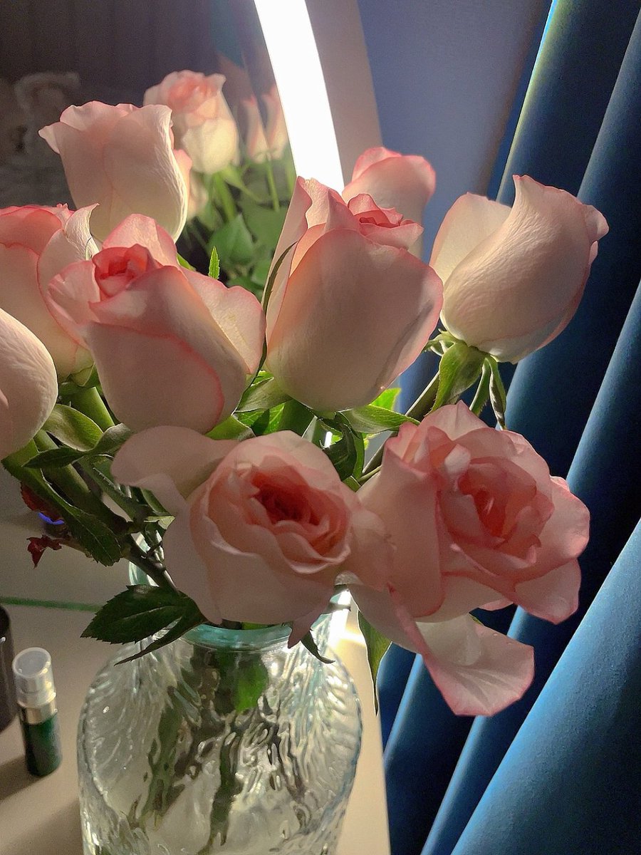RoseParqq tweet picture