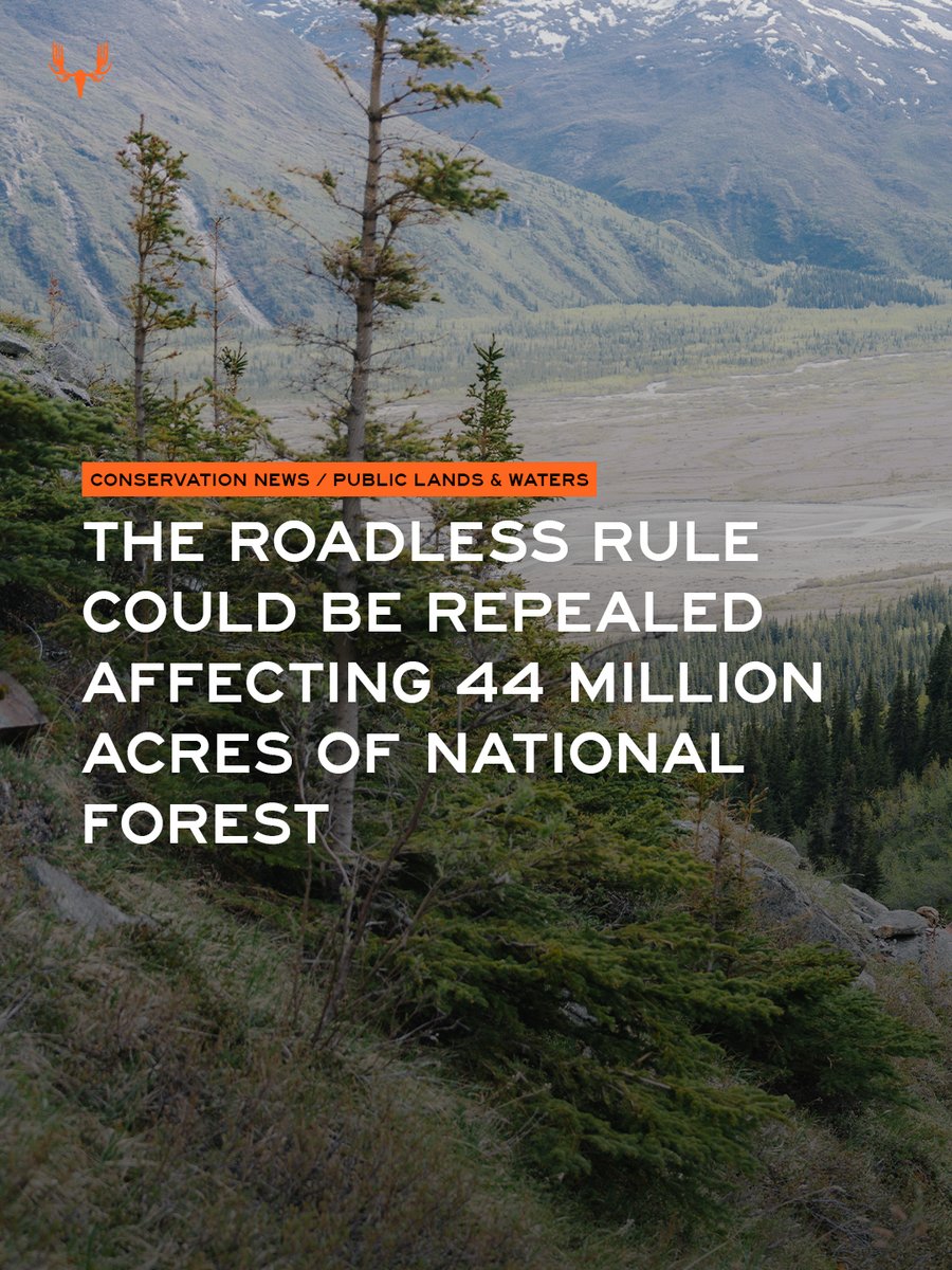 MeatEaterTV's tweet photo. The USDA is moving to repeal the Roadless Rule, which limits most new road construction across nearly 44 million acres of national forest.

Supporters cite greater management flexibility. Conservation groups warn of impacts to fish, wildlife, and backcountry habitat. https://t.co/xFxZzWyKMI