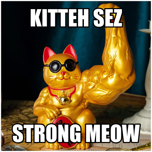 KittehCoinTeam's tweet photo. Kitteh restorin da OG 2013 site link by link, Maik ur own memes 👉 https://t.co/iwxgDOpBy6 base:0xb200000000000000000000b8d3746d2e56596578 https://t.co/1BdeF1phiM