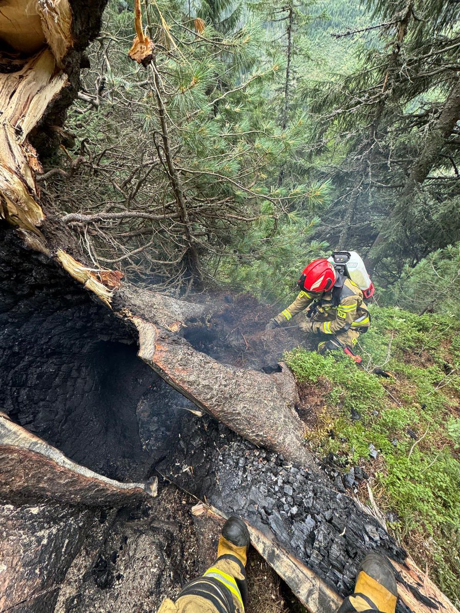 H_Cieply's tweet photo. 🔥 Pożar na zboczu Włosienicy w @Tatrzanski_PN , na wysokości ok. 1620 m n.p.m. Strażacy i ratownicy #TOPR dotarli na miejsce śmigłowcem. Ugasili płonące drzewo i ściółkę, a wodę i sprzęt dostarczano dronem. Teren sprawdzono również kamerą termowizyjną.👏
@MSWiA_GOV_PL 
@KGPSP https://t.co/rJPgtIUxRX