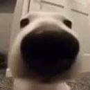d0tcon's tweet photo. pensando si volto com o meu antigo canal com conteúdo diferente ou invisto em vídeos curtos no Instagram e tiktok https://t.co/JsSGIXlSsD