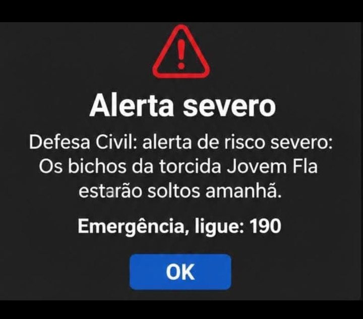 adm_orgcrf's tweet photo. ⚠️ ALERTA DE RISCO

- OS PSICOPATAS DA TORCIDA JOVEM DO FLAMENGO SERÃO SOLTOS 🤣🔴🌟⚫️ https://t.co/GjiWqN0EDq