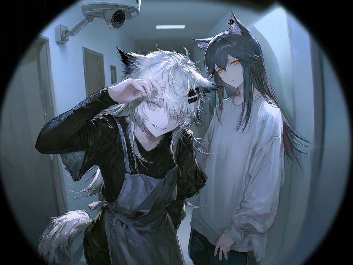 Kyzen6mhr's tweet photo. She-wolves in the hallway. CCTV footage. https://t.co/MCzoApnIk0