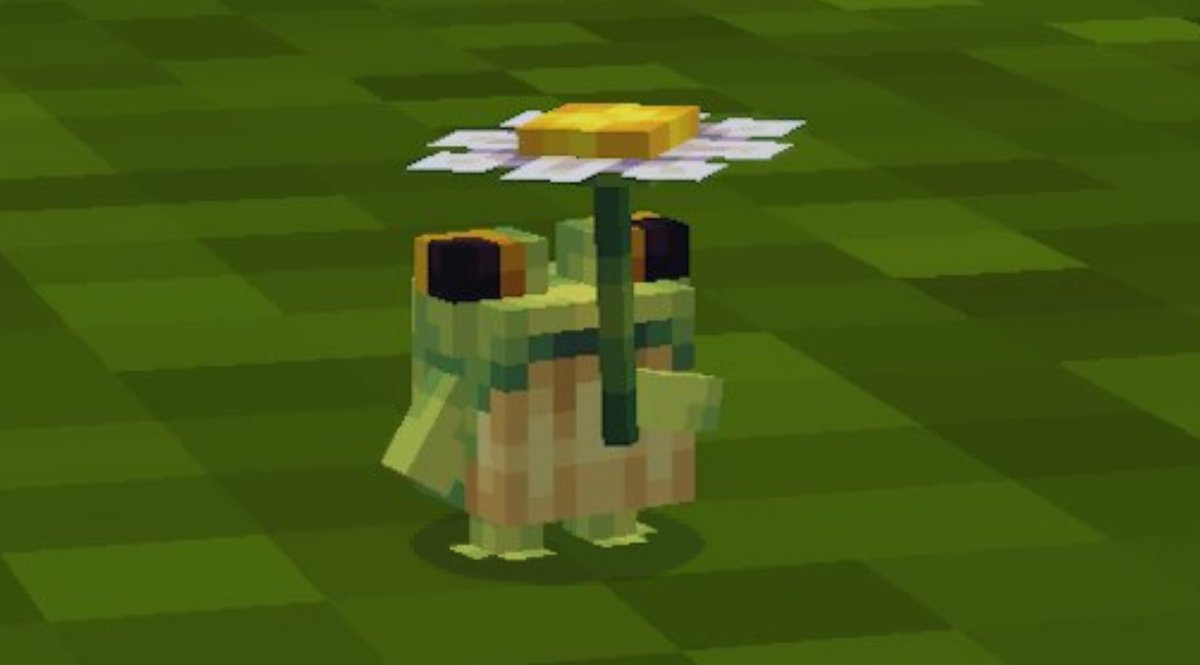 Joosh7889's tweet photo. He's on bedrock now ❤️ https://t.co/2ogo0lY2GJ
