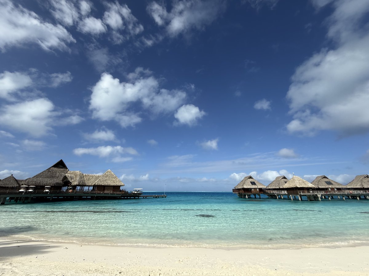 sang_wen's tweet photo. I spent 10 days in Bora Bora, Tahiti with my family. I didn't fully unplug - I run an AI unicorn - but I was more than sufficiently unplugged.

Sandcastles with my kids, Manta rays hovering over coral reefs, drinks with my wife, and 30-45 minutes each morning with my AI EA on @genspark_ai GenTeam (https://t.co/v28kQon0pT).

I never opened my inbox, still launched our Diamond Lighthouse initiative from a beach in the South Pacific, and my team told me I was on every beat.

Genspark isn't selling you tokens. Genspark is giving you freedom - real family time and real work, from anywhere.
