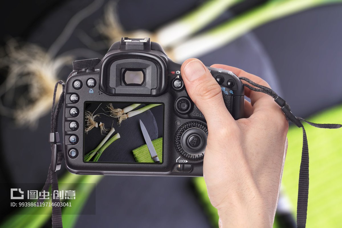 MaryjoRhyagne's tweet photo. New to photography Start with natural light and rule of thirds – game-changers for crisp, balanced shots! https://t.co/QVoyvUg4XX