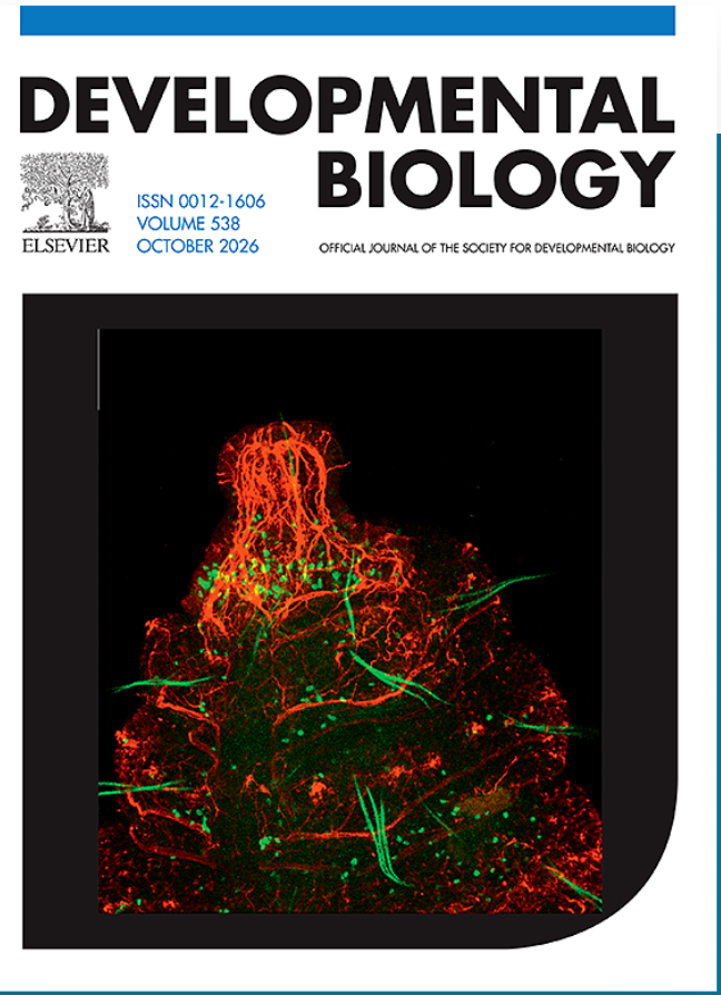 Whitney_Lab's tweet photo. Former Seaver Lab Grad Student Lauren Kunselman Publishes in Developmental Biology, Selected for Cover Image. 📷: Regenerating tissue at the amputation site of a Capitella teleta tail fragment treated with Wnt/beta-catenin inhibitor for one week.
https://t.co/PAQp3hwG26 https://t.co/WvHAu4qMPa