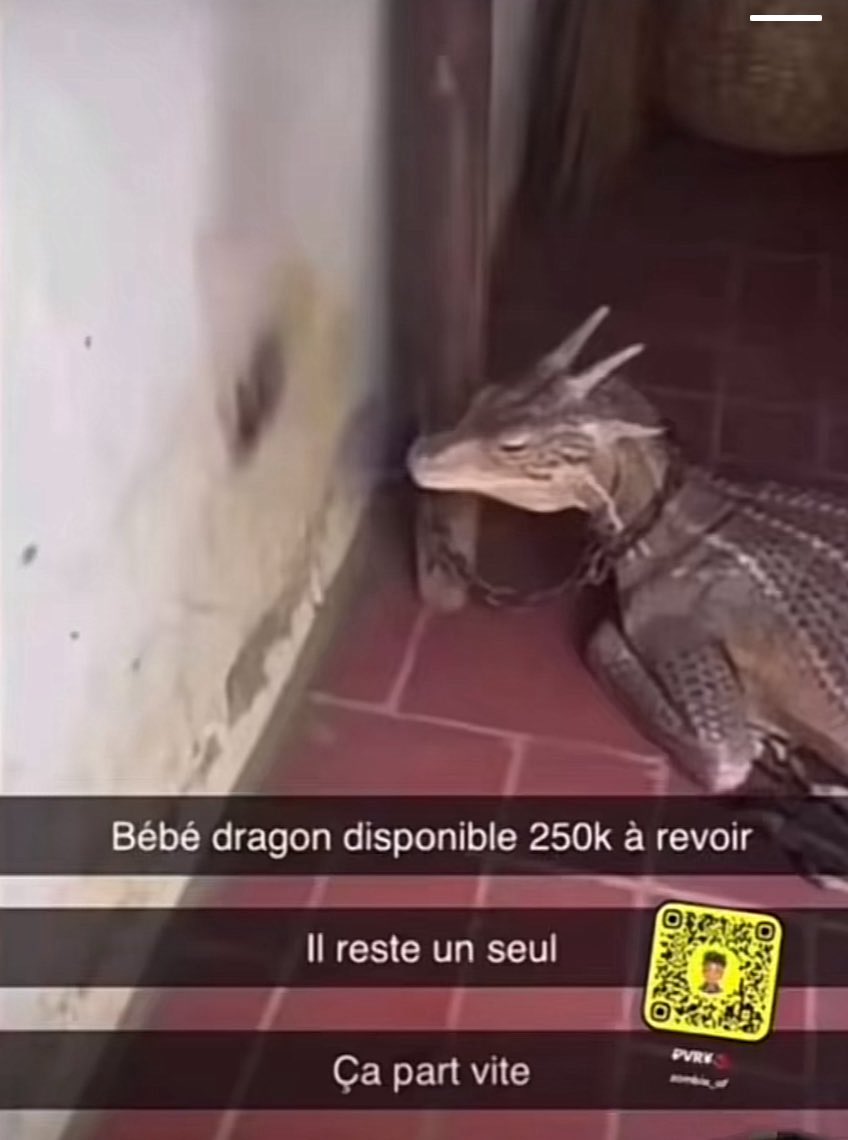 zakgamberge's tweet photo. Venez dm ceux qui veulent j’ai un plavon https://t.co/Vlc9snq3kh