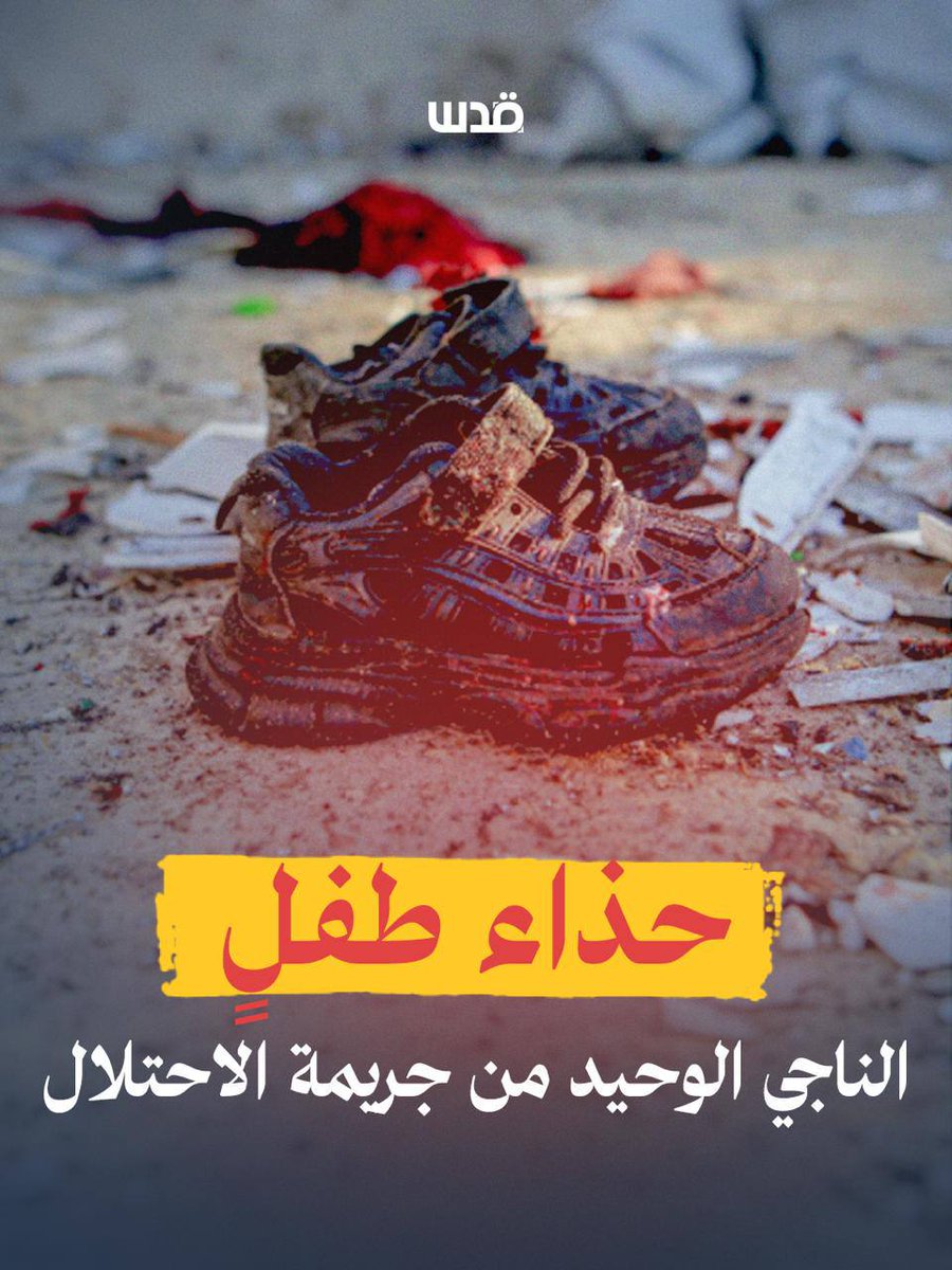 qudsn's tweet photo. حذاء طفلٍ كان الناجي الوحيد من قصف إسرائيلي استهدف مقهى على شاطئ ميناء غزة، في مشهد يلخّص حجم الجريمة https://t.co/DNZd1yK8z6