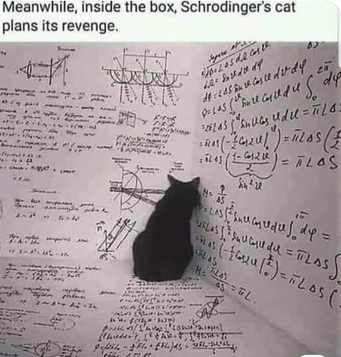 SantaCruzBio's tweet photo. #cats #schrodinger #revenge #formula #funny #insidejoke https://t.co/rSVU6eePjr