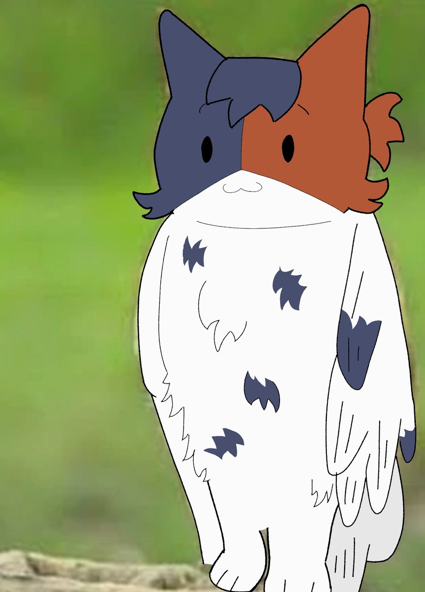 Oreo23422's tweet photo. Why is Cate an owl now? 😦 #CateMeowdy #FortniteArt https://t.co/eRv8nCSL97