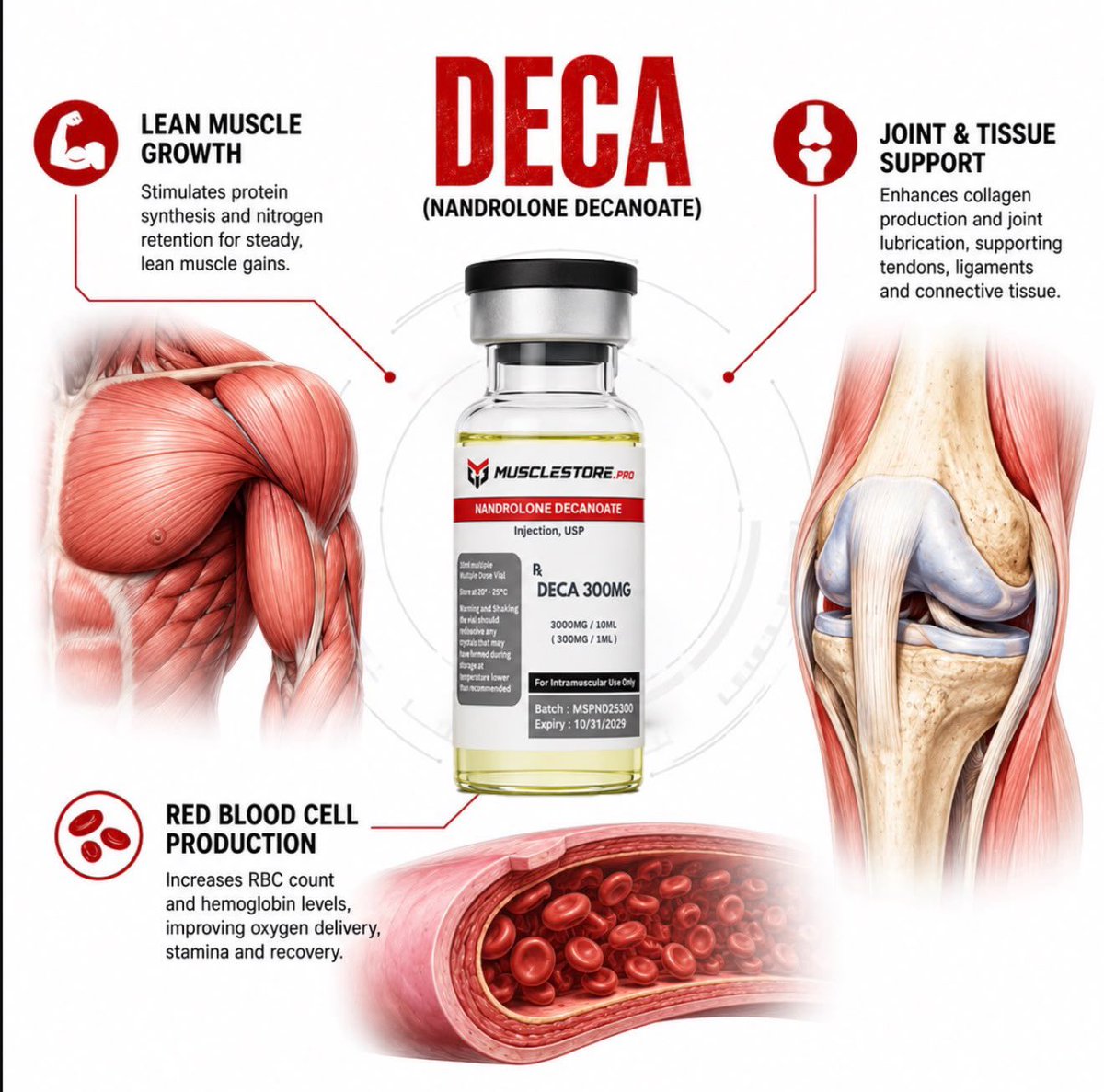 MusclestorePro's tweet photo. Building muscle is more than just training harder.
Understanding how different compounds affect muscle growth, strength, recovery, and overall performance matters.

🌐 https://t.co/gV44yCSkvu
📧 Musclestore.pro@gmail.com

#Bodybuilding #MuscleGrowth  #Fitness #USA #MuscleStorePro https://t.co/fFoovkeZv8
