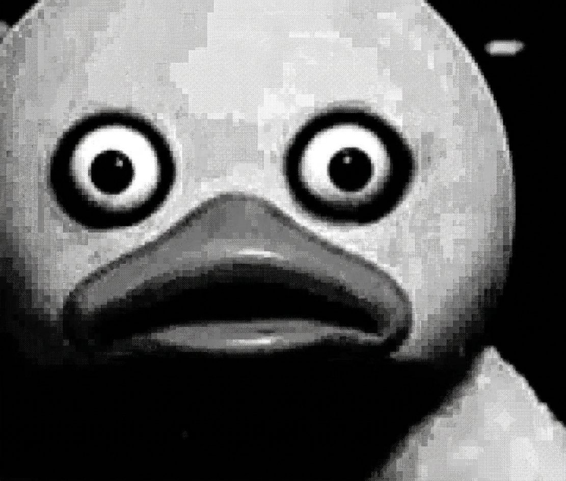 GirlOnGram's tweet photo. CT when the shitcoin they were told was going to be dumped gets dumped https://t.co/VXWa4HxBEg