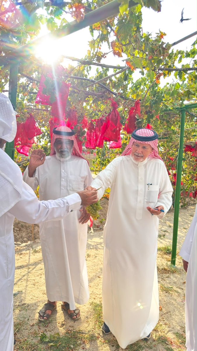MAlzulfa's tweet photo. بعد عصر اليوم قمت وبصحبة الاخ المستشار محمد ابوهتلة وابنه المهندس نواف والاخ عبد العزيز المطوع والاعلامي عبدالله بن مرعي ال شعيب بزيارة مزرعة محمد بن فيصل على وادي عنقة ثالث اكبر وادي في محافظة احد رفيدة محافظة المزارع الكبيرة في المنطقة ومنها مزرعة ابو فيصل مزرعة الكروم https://t.co/zNGY1JD6Rs