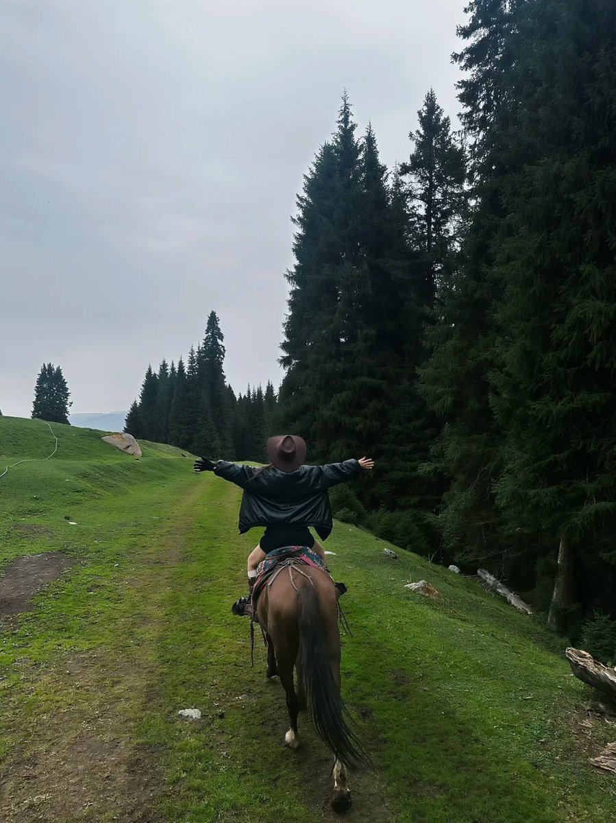 RoseGardenLuna's tweet photo. The moment you mount a horse, it feels like you temporarily escape the hustle and bustle of the city
 With the wind blowing, gazing at the grass, trees, and distant horizons, you can enjoy a slow journey through nature https://t.co/KUTzVg3Pq3