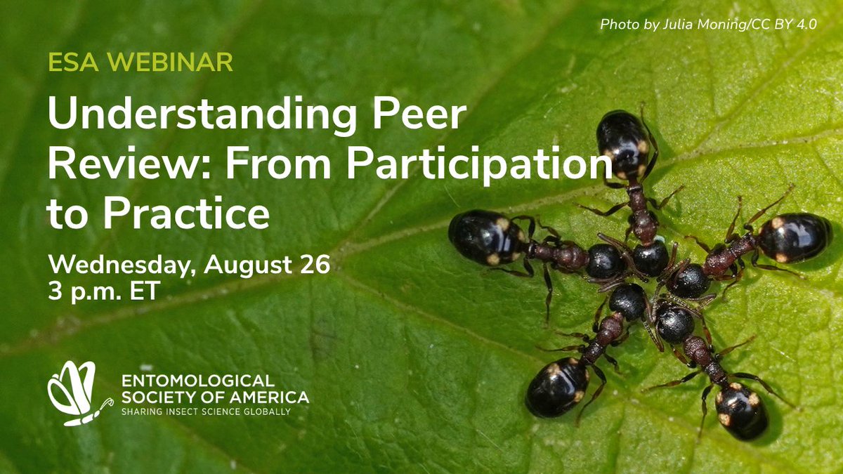 EntsocAmerica's tweet photo. Looking for more insights into scientific publishing? Don’t miss our August 26 webinar on understanding peer review: https://t.co/ABTegI1wpA https://t.co/moeWBTaKyb
