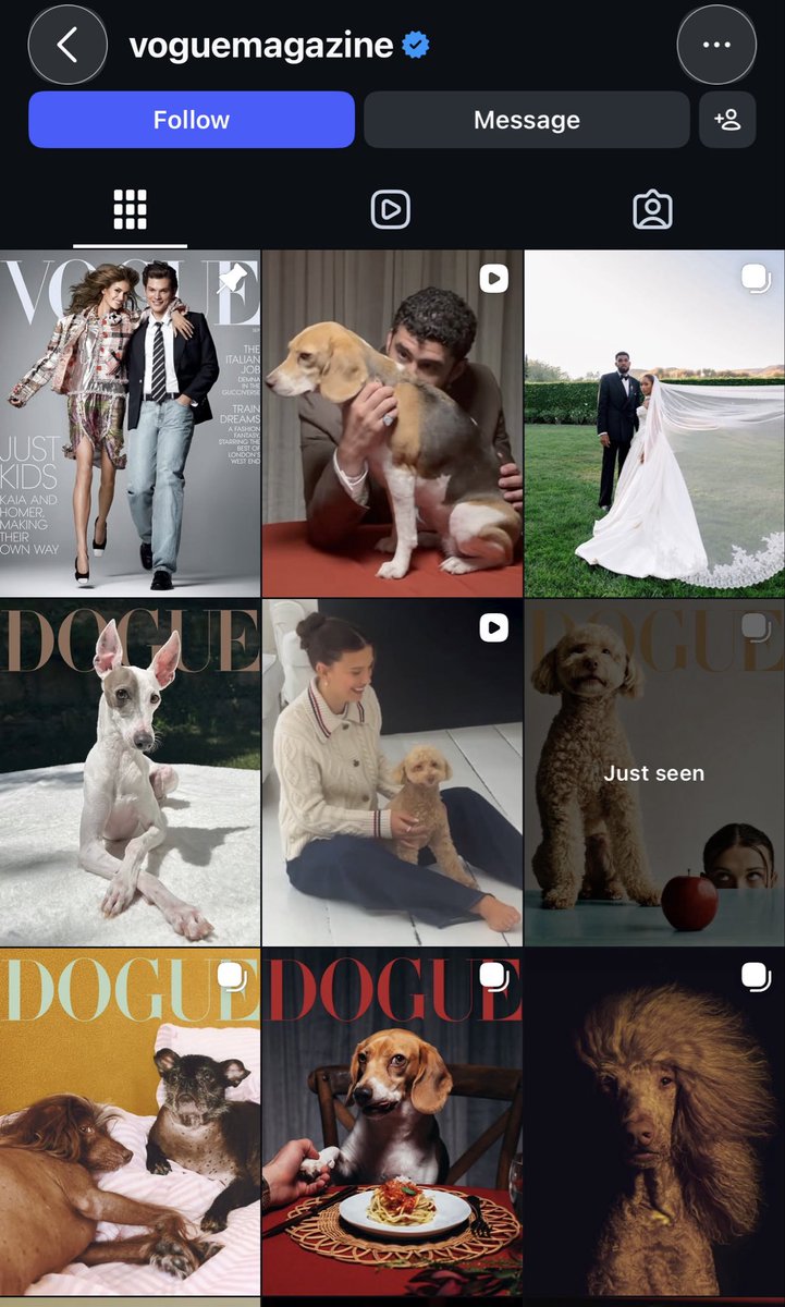 doguepf's tweet photo. Dogue is absolutely taking over the vogue instagram account

Over a million combined likes and the vogue account has over 50 million followers https://t.co/qpSpk4lVox
