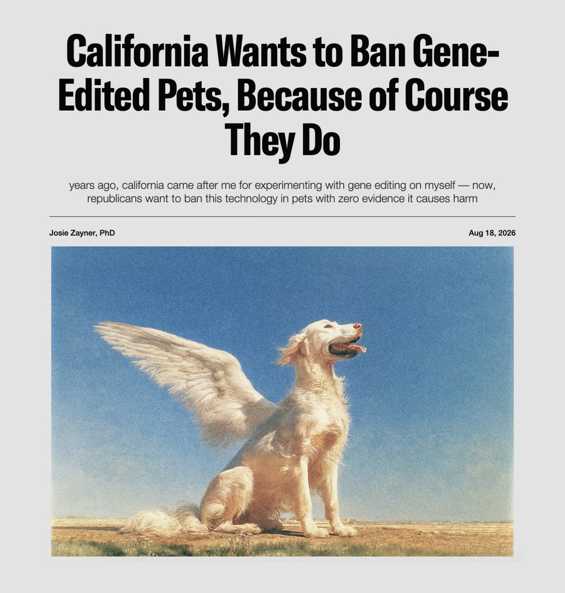 PirateWires's tweet photo. California politicians are trying to ban glowing cats and neon rabbits… 

But there’s zero evidence gene-editing pets causes harm, and as @josiezayner writes, we’ll never learn anything about genetics if we regulate it out of for-profit industry. 👇 https://t.co/WyGBgX7IOT