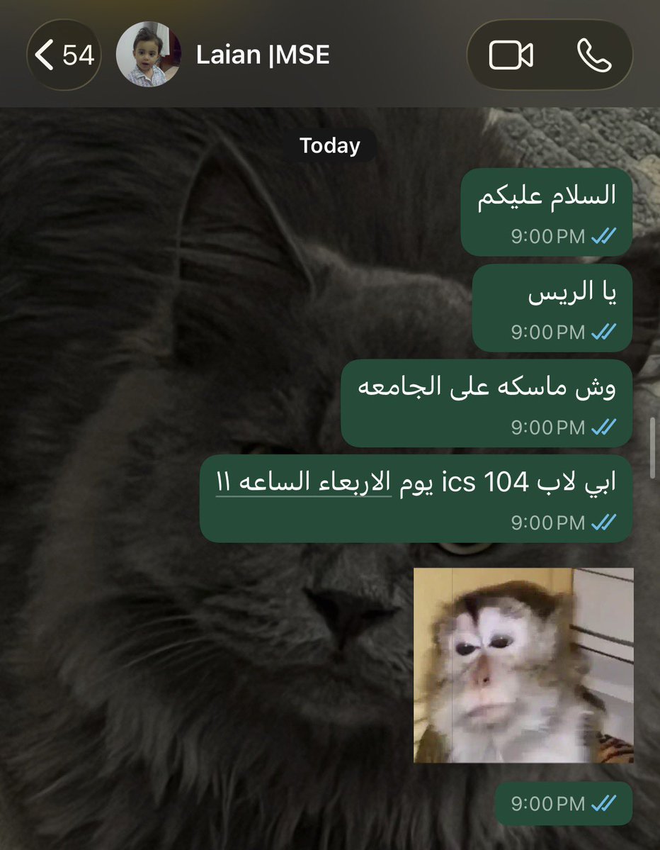 irronsttark's tweet photo. اخر حل رحت لعرّابة الجداول 
@laianwithani https://t.co/TGNcZCO45G