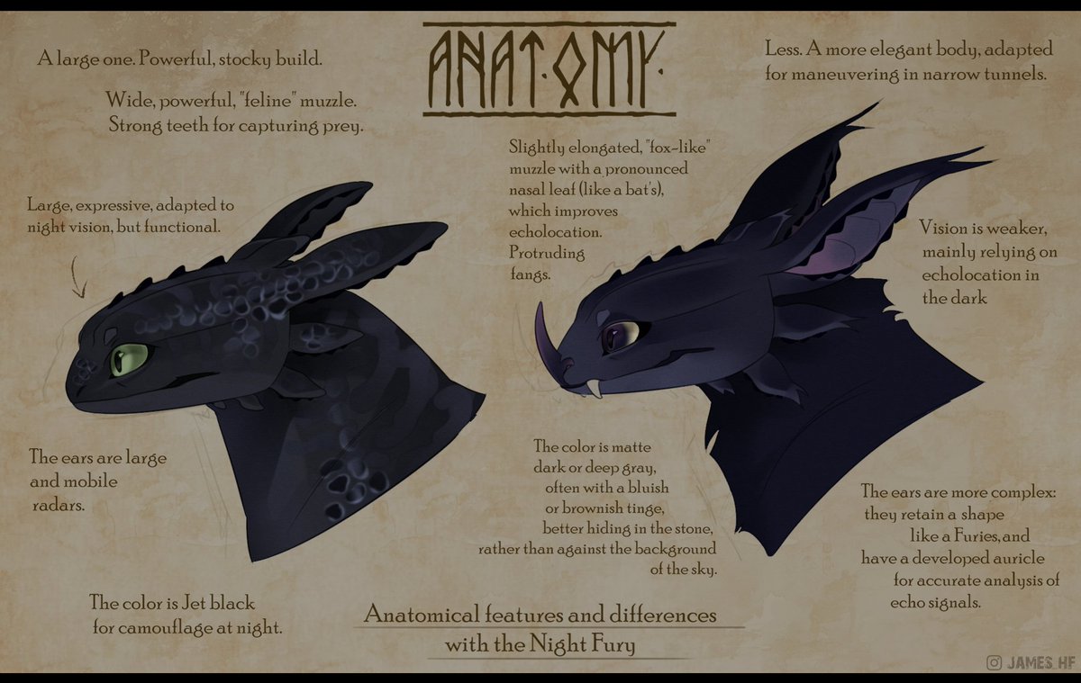 james___hf's tweet photo. Noaptus - subspecies of the night fury

Their name is Noaptus or No'pts, literally night furies, but bats. I thought it would be great to arrange them in the form of sheets from the book of dragons.

#httyd #nightfury #howtotrainyourdragon https://t.co/bhKjtW5PdR