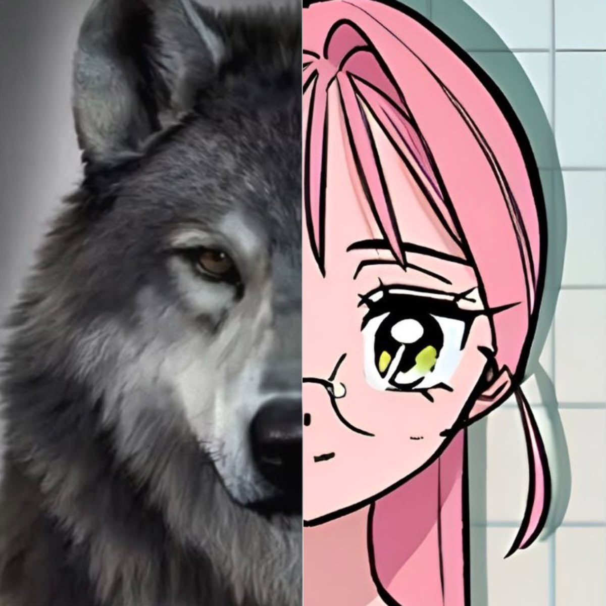 pinkescent's tweet photo. https://t.co/2RLT8jJtyy