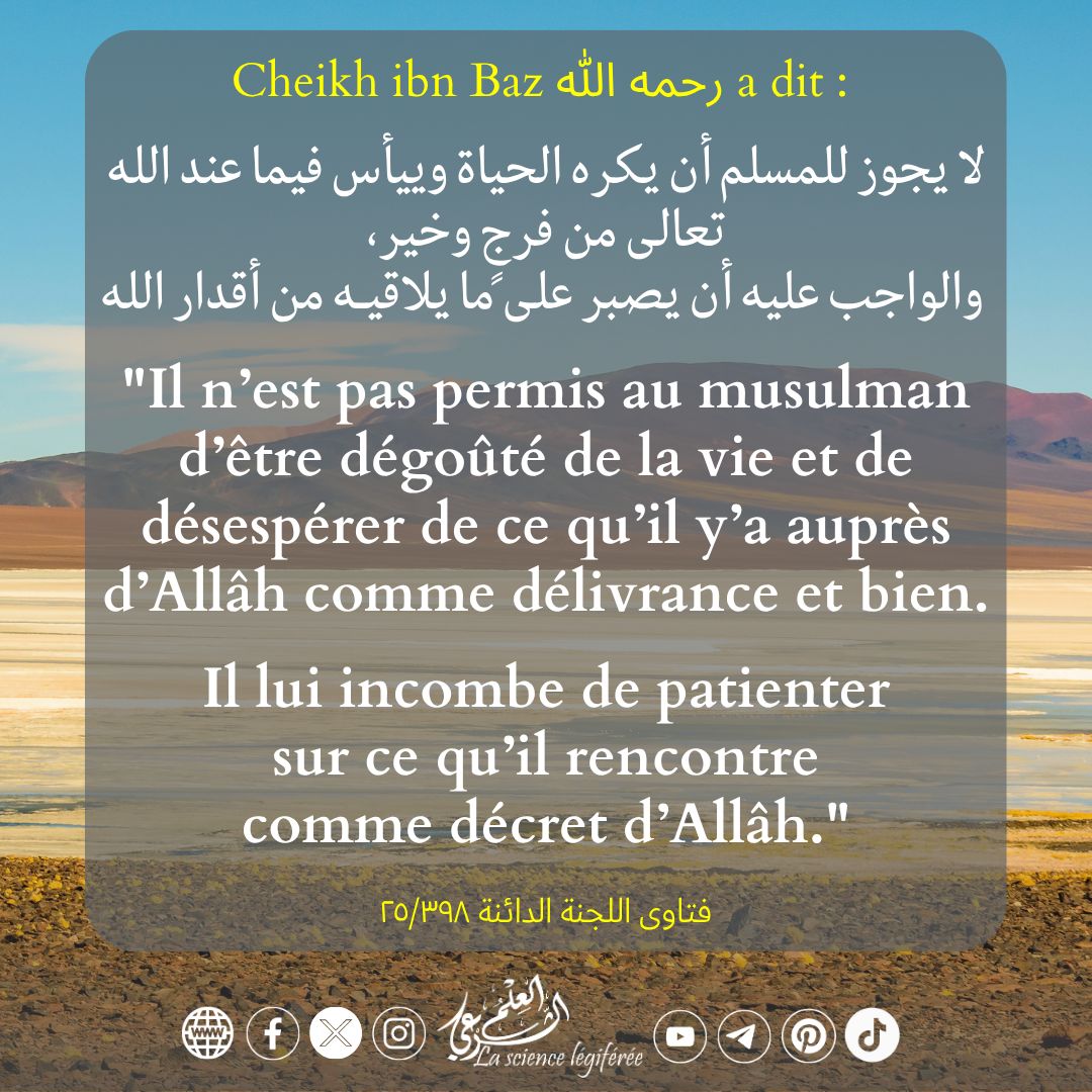 3ilmchar3i's tweet photo. 💠 Patienter sur le décret d’Allâh https://t.co/n4YLYOfEHK