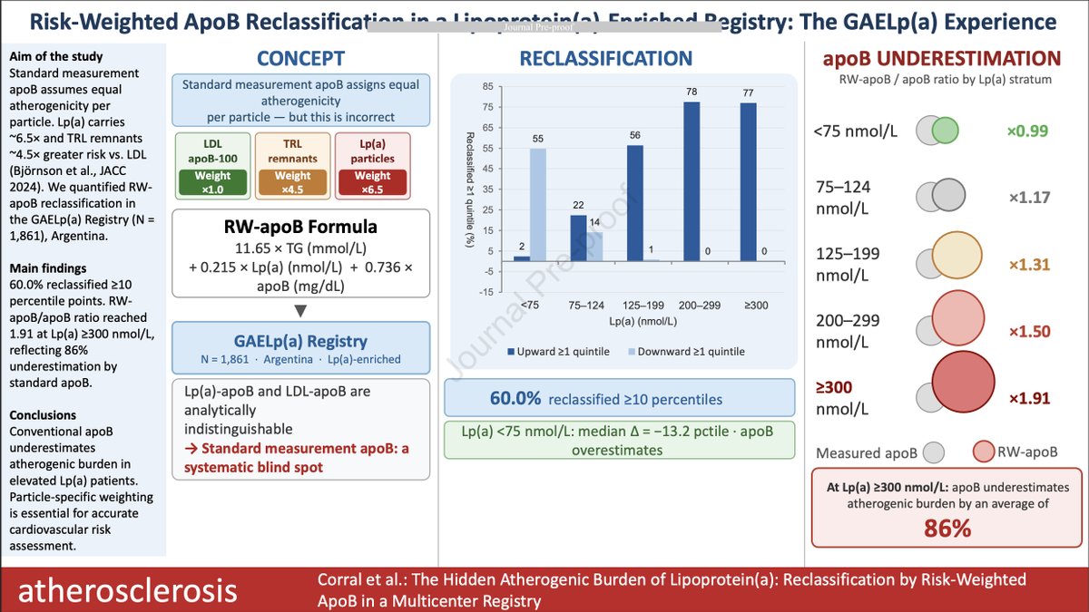 drpablocorral's tweet photo. 🇦🇷 Proud to share our latest publication in @ATHjournal  from the GAELp(a) Registry.

Another important contribution from Argentina and Latin America to the global understanding of Lp(a) and cardiovascular risk.

👉 1,861 patients from a nationwide multicenter Argentine registry
👉 Risk-weighted apoB reclassified 60% of participants by ≥10 percentiles
👉 As Lp(a) increased, conventional apoB progressively underestimated atherogenic burden
👉 At Lp(a) ≥300 nmol/L, RW-apoB was 1.91× measured apoB — an 86% underestimation of weighted atherogenic burden
👉 The discordance was driven primarily by Lp(a), not triglyceride-rich lipoproteins

🙌 Beyond the findings, this is another milestone for the GAELp(a) collaborative network: high-quality, multicenter real-world evidence generated in Argentina and contributing to the international lipid field. 🇦🇷

💪 Proud of this team. Proud of Argentine science.

🪢https://t.co/fsx6KeZjzG

@society_eas 
@magabrielama83 
@lschreier1 
@alavallecobo 
@JSoumoulou 
@nicolasrennamd 
@lynchsantiago 
@natinardelli_ 
@sebagz1