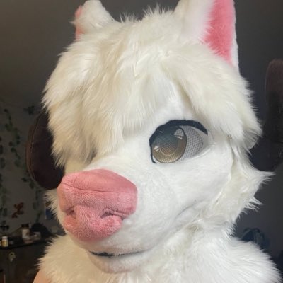SpitzerSpatter's tweet photo. #NewProfilePic ARRFFFF https://t.co/xGxLnhuTlc