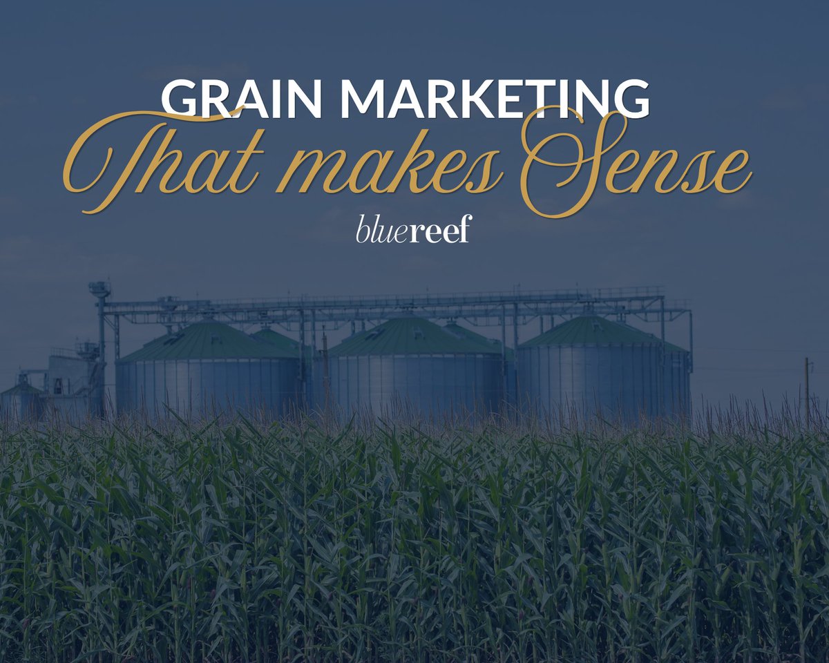 BlueReefLRP's tweet photo. Talk to one of advisors today and find out how Blue Reef can make a difference in your day-to-day!
π (817) 736-0230
βοΈ customersupport@bluereefinc.com
#YourTrustedAdvisors #CattleMarket #FeederCattle #LiveCattle #GrainMarket #Farming #BlueReef #LivestockMarket #FedCattle https://t.co/zKsGtGVrhA