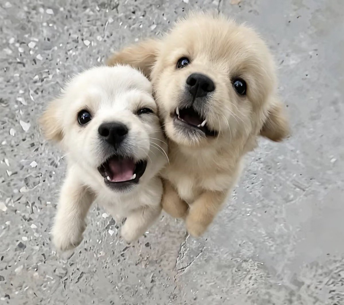 twaniimals's tweet photo. https://t.co/cH7YlS1VX6