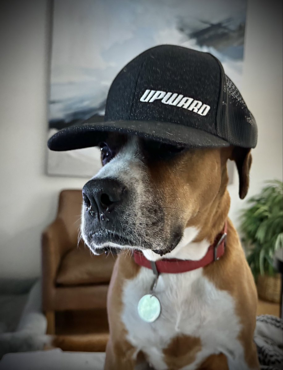 FightofFaith's tweet photo. Goodbye to my dog Bacon. 
She is dying and suffering. We must put her down today.

She was just like Scooby-Doo. Happy, goofy, gentle with kids and smart. 

It’s amazing how attached we get to our pets. I will miss you Bacon.

Goodbye ol’ girl. https://t.co/evHgBMRnIC