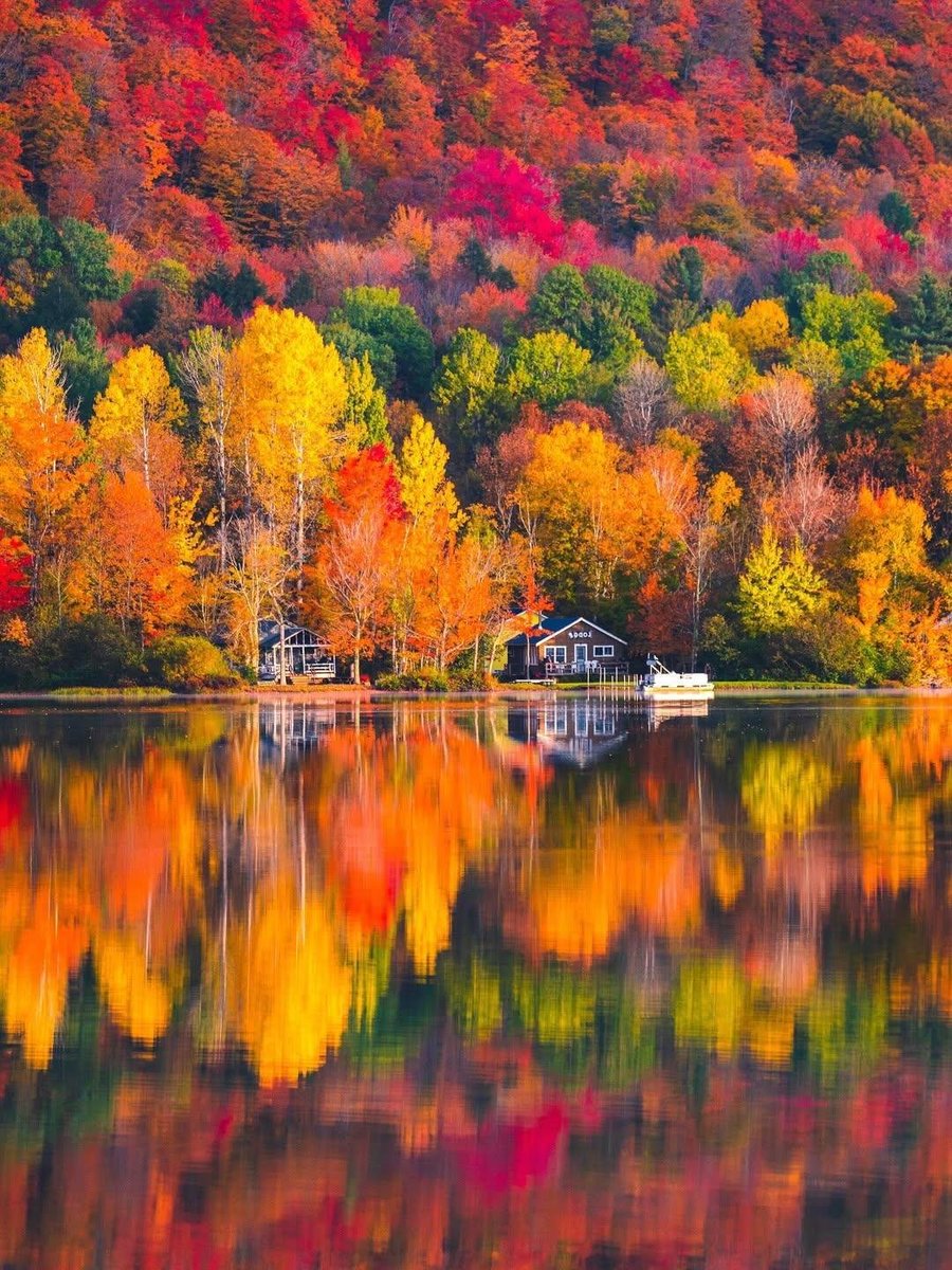 ____flowers__'s tweet photo. Vermont, USA 🇺🇸 https://t.co/SqwAccxmoL