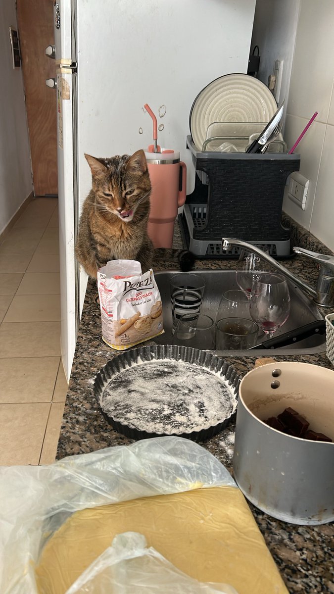 lencitamic's tweet photo. Una gatita que también quiere ser repostera 👩🏻‍🍳 https://t.co/2FcCeltqJR
