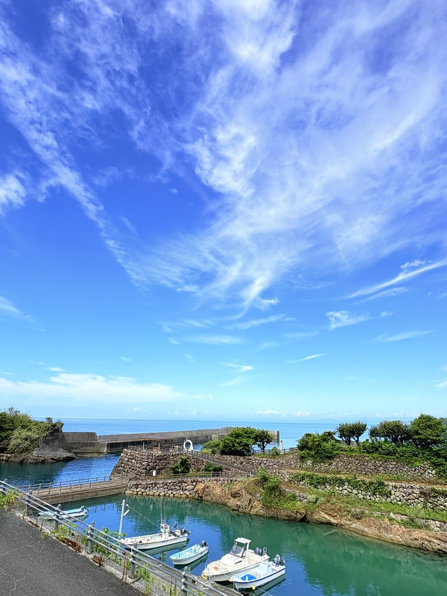 BARUBATOSUMos's tweet photo. 高知凄すぎて https://t.co/jLQzSkQmcl