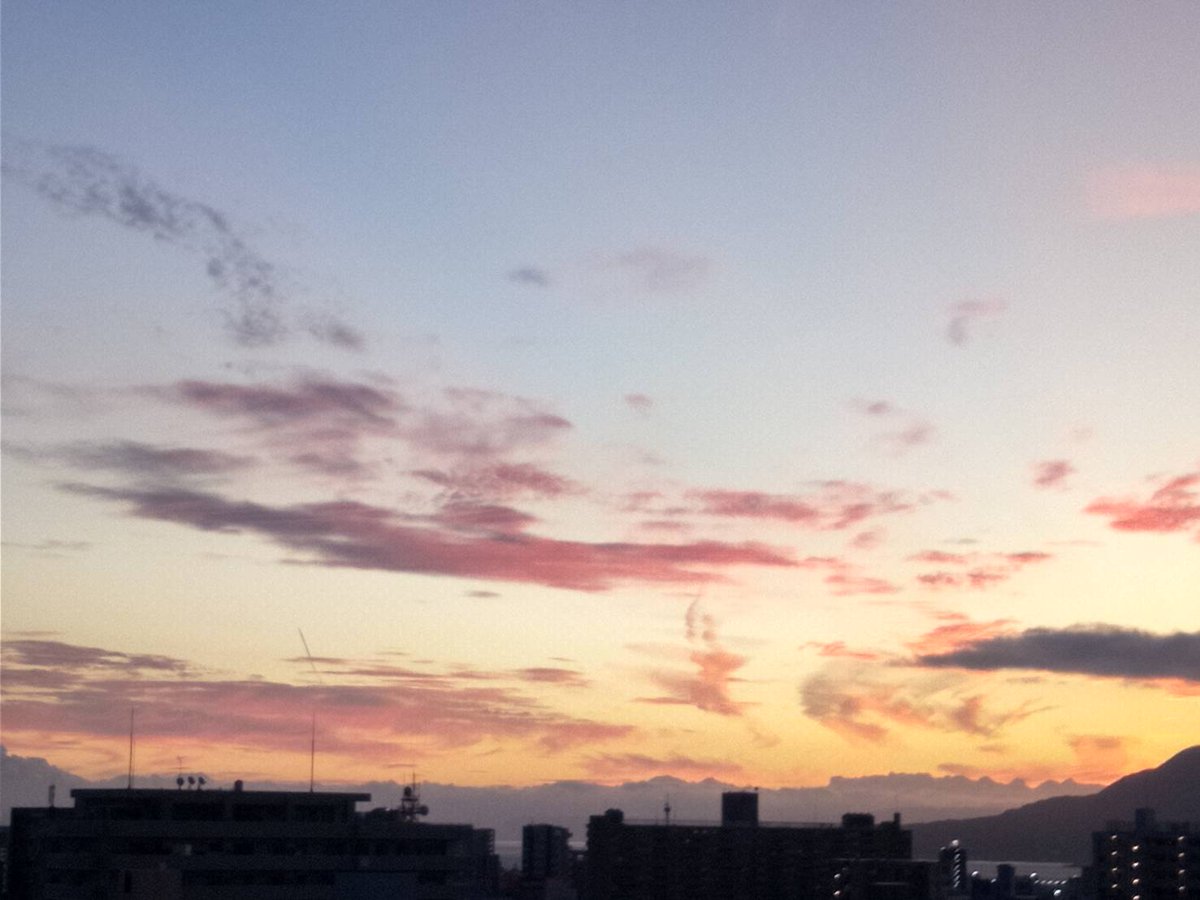 GOODDAY443016's tweet photo. Aug.19th (Wed) ☀️26,9°C_85% 
おはようございます。
Good_day！　　　　　　　　　　　　　今朝の東空・南空 https://t.co/9HbcBwLl63