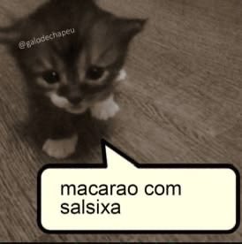 shitpostverdade's tweet photo. https://t.co/3QI9H3pjs3